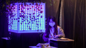 DSC00192_edited-1280x720